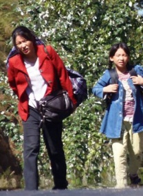 婷婷在线免费观看